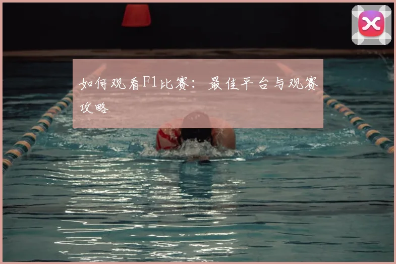 如何观看F1比赛：最佳平台与观赛攻略